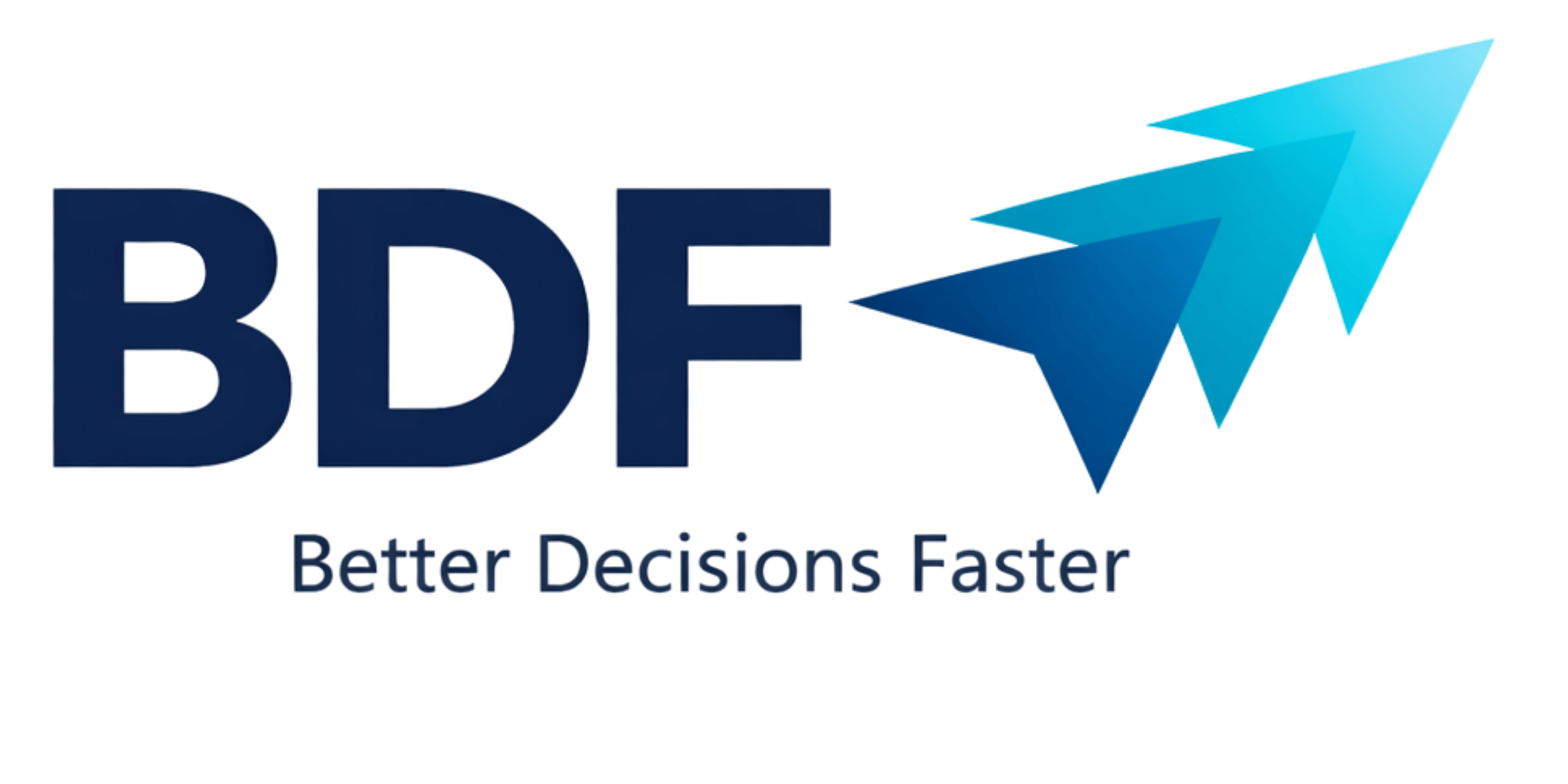 Logo BETTER DECISIONS FASTER